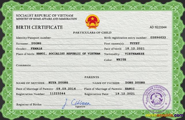 Vietnam birth certificate